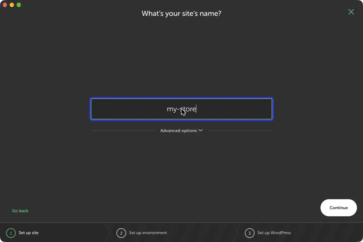 שדה שם האתר בתוכנת Local עם השם my-store